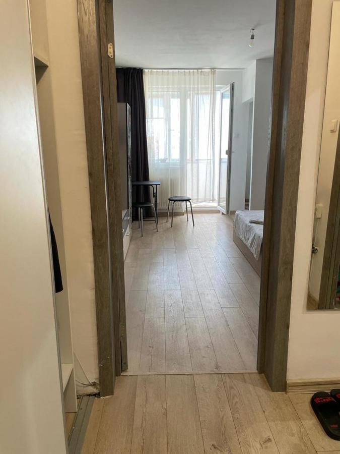 Bega Cirumvalatiunii One Room Apartment- 4 Timişoara Extérieur photo