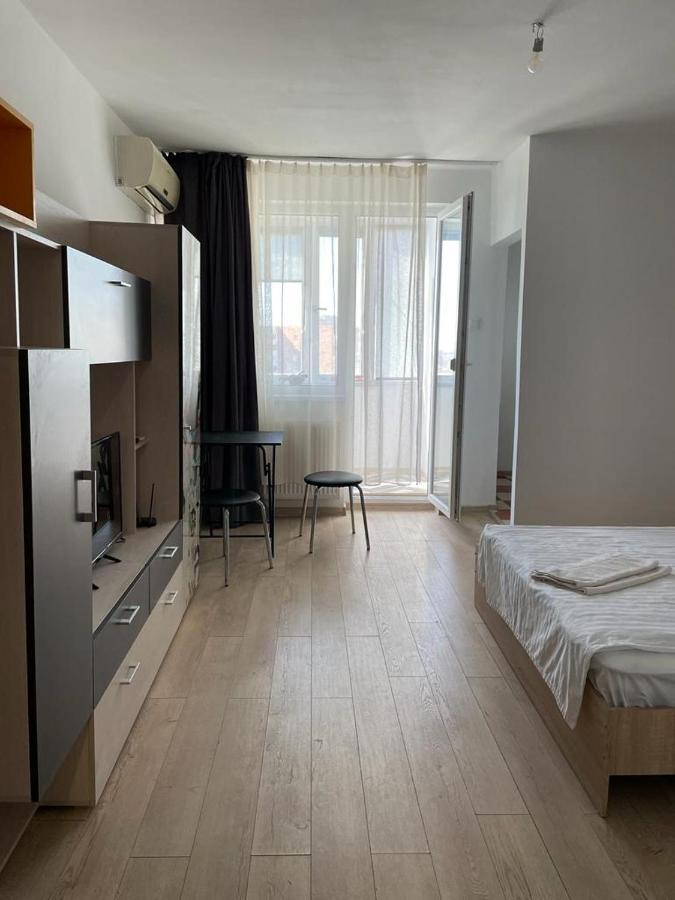 Bega Cirumvalatiunii One Room Apartment- 4 Timişoara Extérieur photo