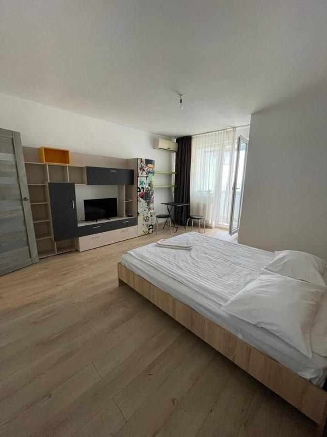 Bega Cirumvalatiunii One Room Apartment- 4 Timişoara Extérieur photo
